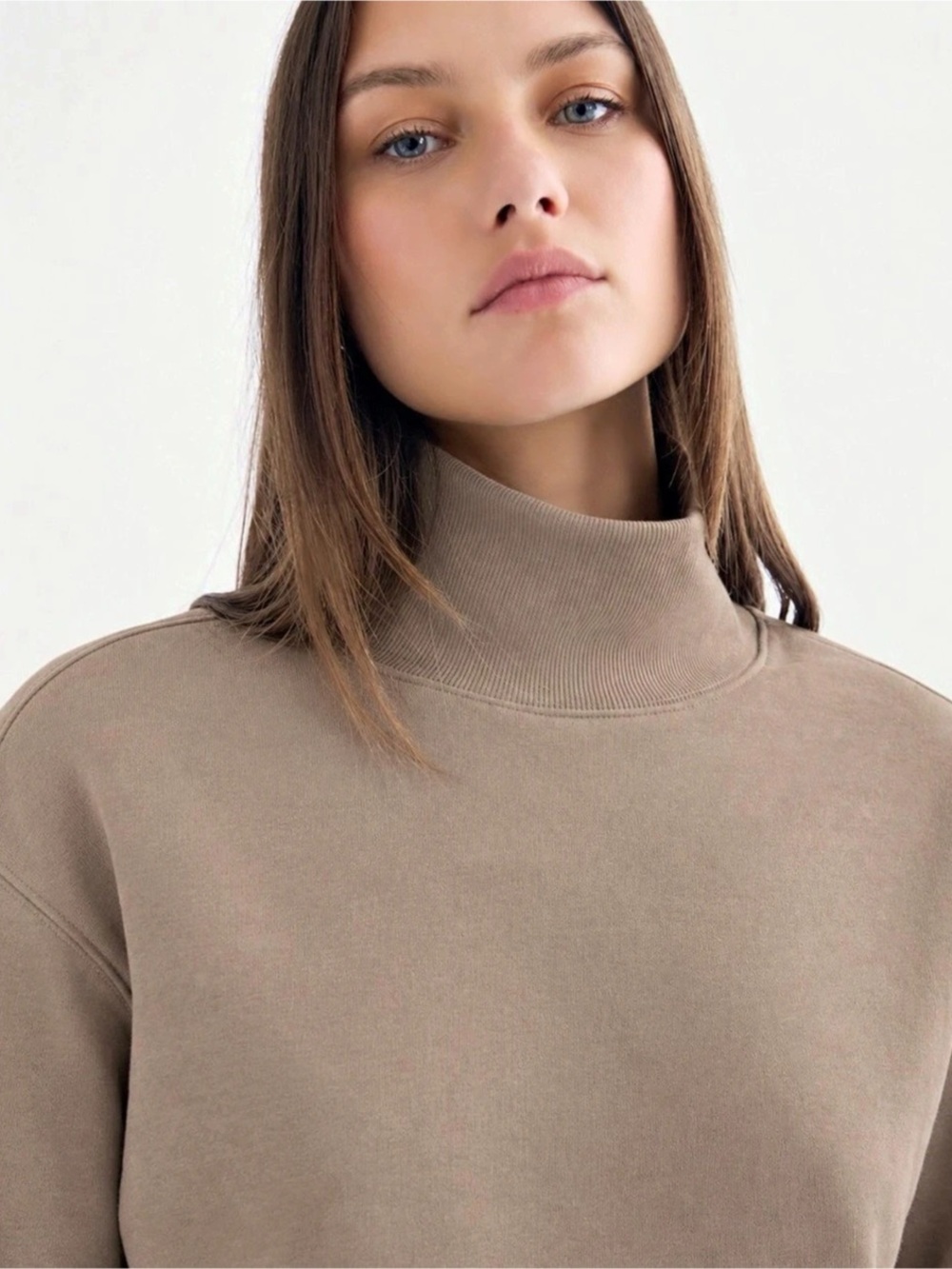Everlane Organic Cotton Sweatshirt Mock Neck Organic Cotton Tan/Brown Size S
